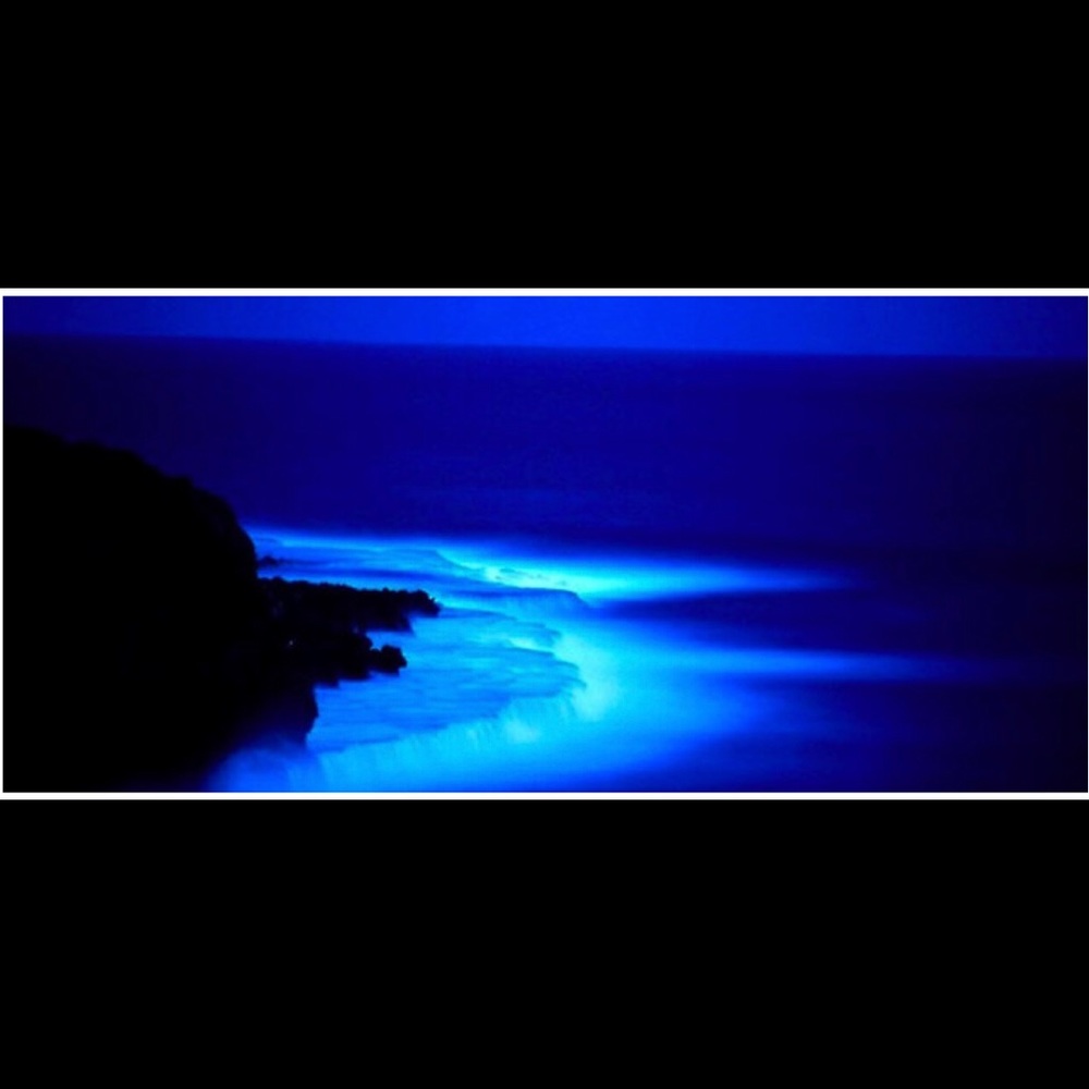 More listings coming soon!!!